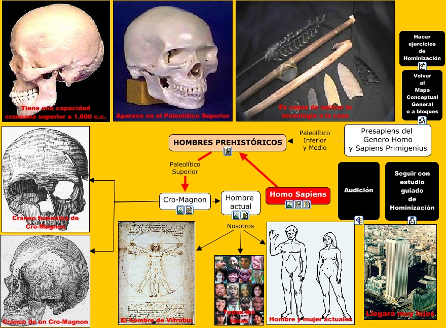 Homo Sapiens 4158